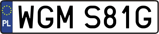 WGMS81G