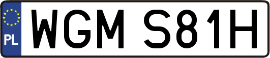 WGMS81H