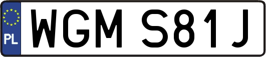 WGMS81J