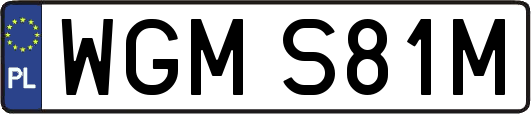 WGMS81M