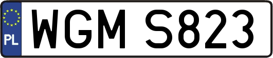 WGMS823