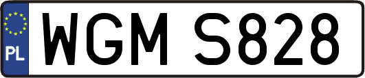 WGMS828