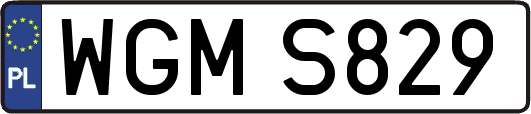 WGMS829