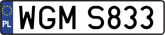 WGMS833