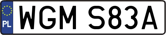 WGMS83A