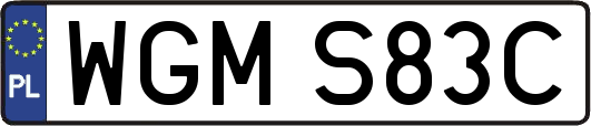 WGMS83C