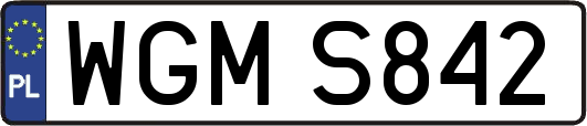 WGMS842