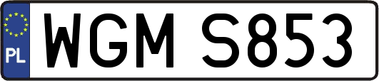 WGMS853