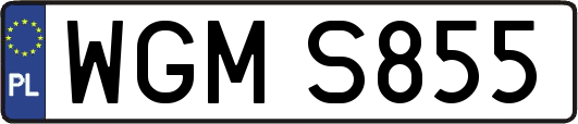 WGMS855