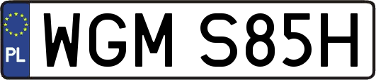 WGMS85H