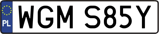 WGMS85Y