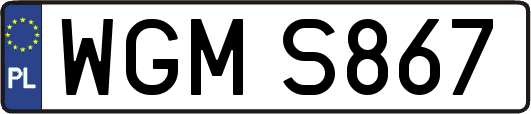 WGMS867
