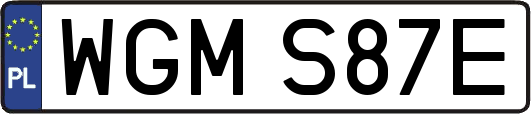 WGMS87E