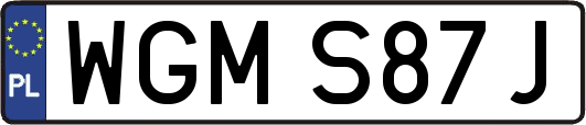 WGMS87J