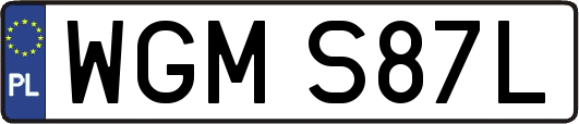 WGMS87L