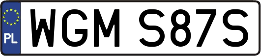 WGMS87S