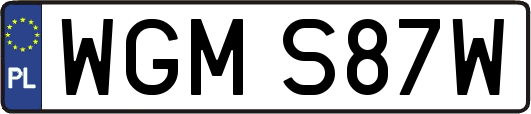WGMS87W