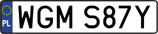 WGMS87Y