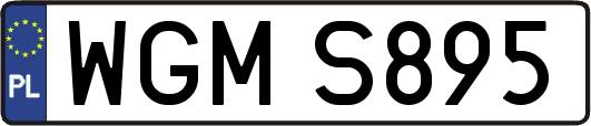 WGMS895