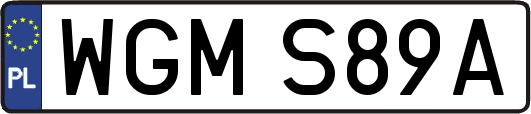 WGMS89A