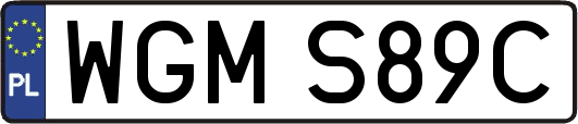 WGMS89C
