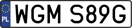 WGMS89G