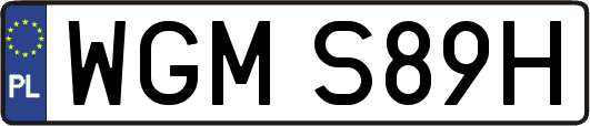 WGMS89H