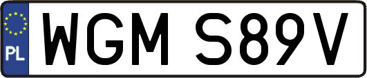 WGMS89V