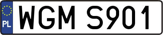 WGMS901