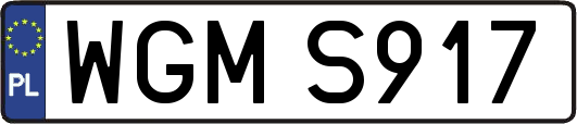 WGMS917