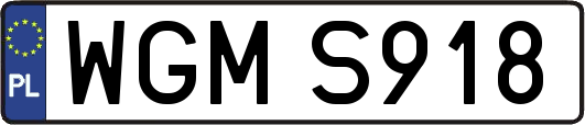 WGMS918
