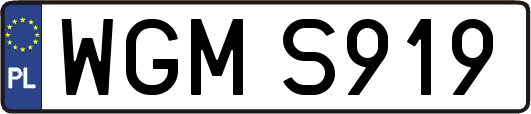 WGMS919