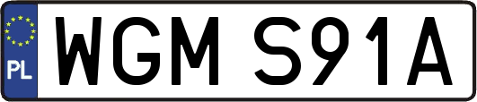 WGMS91A