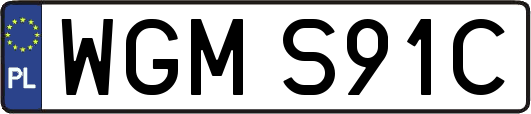 WGMS91C