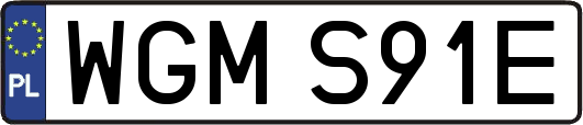 WGMS91E