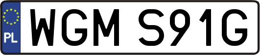 WGMS91G