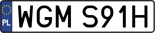 WGMS91H