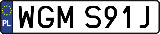 WGMS91J