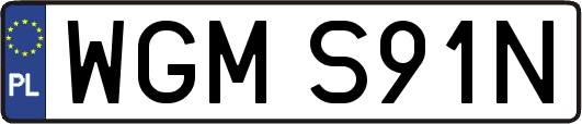 WGMS91N