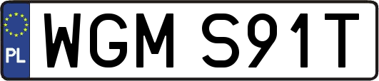 WGMS91T