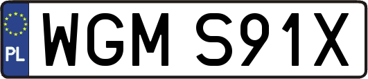 WGMS91X