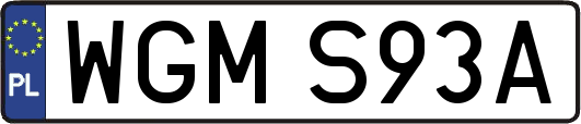 WGMS93A