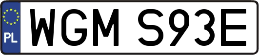 WGMS93E