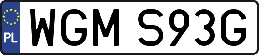 WGMS93G