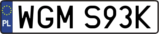 WGMS93K