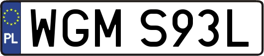 WGMS93L