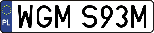 WGMS93M