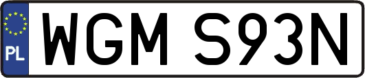 WGMS93N