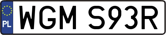 WGMS93R