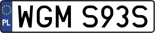 WGMS93S